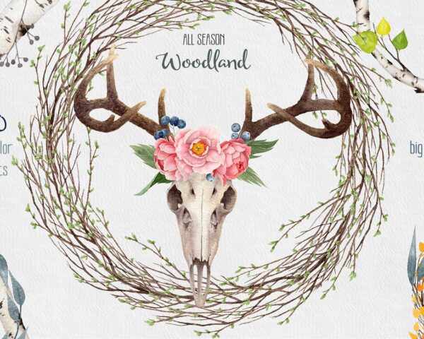 Watercolor Woodland collection